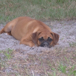Just Relaxing