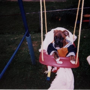 Won Best Costume in 2004