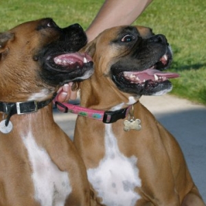 Cooper and Mindy