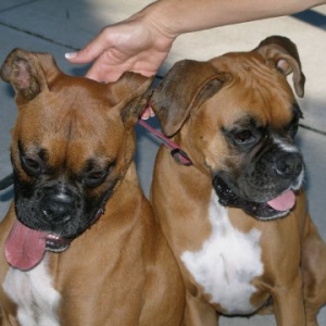 Cooper_and_Mindy