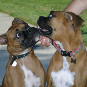 A perfect opportunity to sneak in a big wet kiss