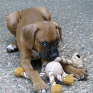 Don't ya just wanna squeeze me?