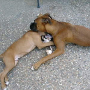 Cooper looks for every opportunity to snuggle with his brother