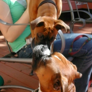 Cooper and big brother Jake
