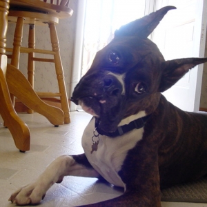 Love the head nod.