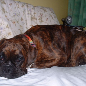 I'll just sneak on nannies bed