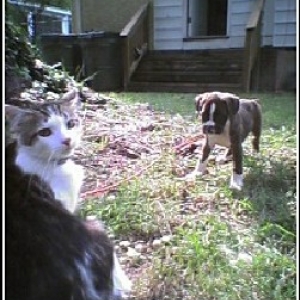 Ziggy and Phife