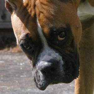 Eight months old
