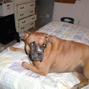 my bed
