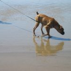 beachtime