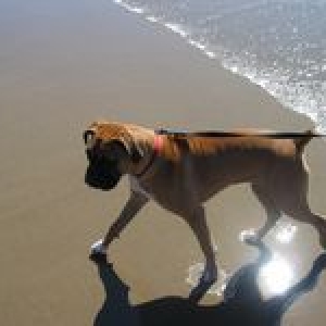 beachtime3