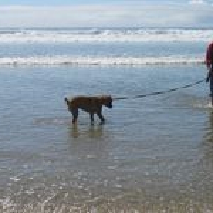 beachtime4