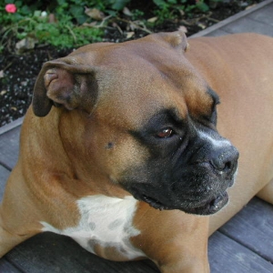 pretty girl