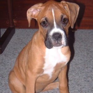 Keeya11weeks
