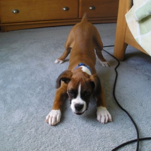Kahne