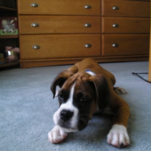 Kahne