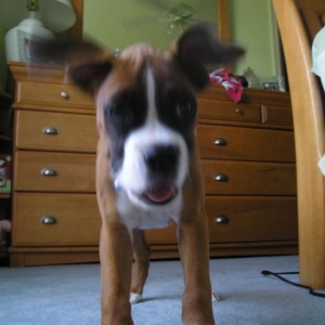 Kahne