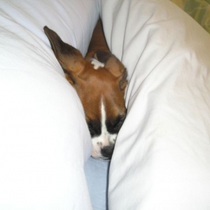 Kahne