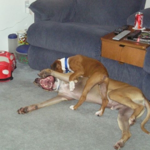 Kahne and Brady