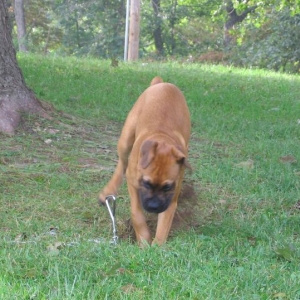 China...I'm digging for China!!!!