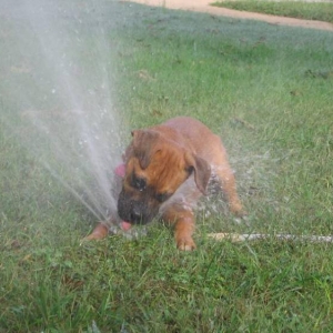 Getting a drink, and taking a shower!