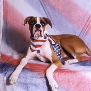 Our All American Legend