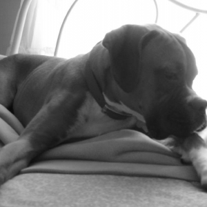 And now, deep thoughts.