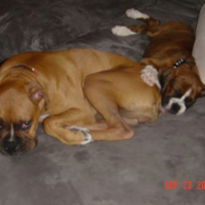 How Cute!