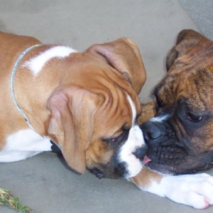 Jade giving Charlie a kiss
