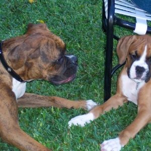 Jade and Charlie taking a break during play time
