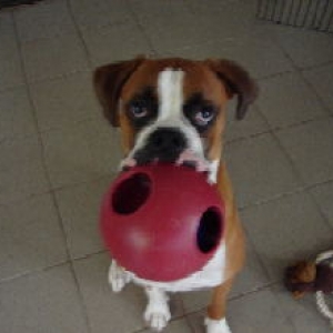 Playtime