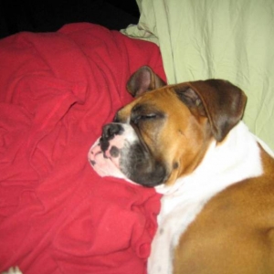 Sleeping Beauty