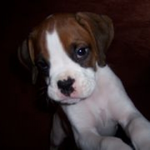 Take my picture!