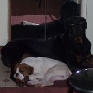 nap time again!