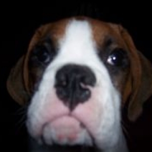 Take my close up!
