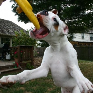 Jumpin Jack Flash