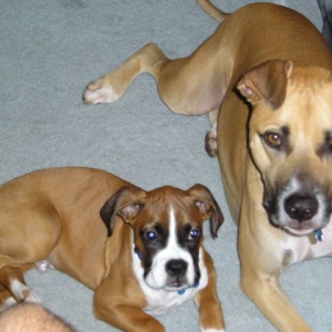 My Boys