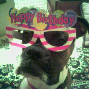 Calla_s_1st_birthday