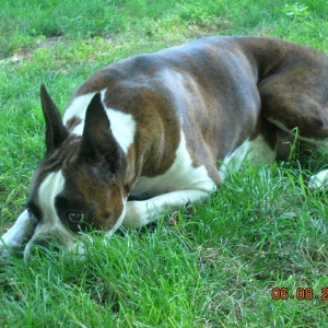 Mazie Relaxing