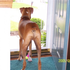 Watching Dad leave for work