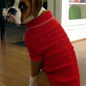 jake 5 mos.