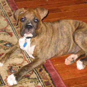 Max