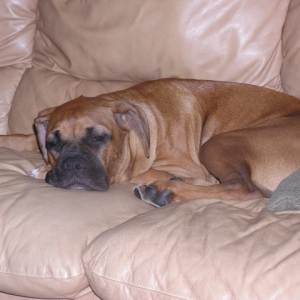 Sleepy baby