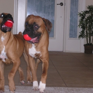 Playing ball