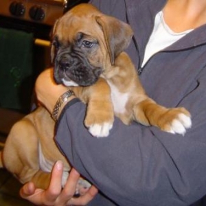 Java @ 6 weeks