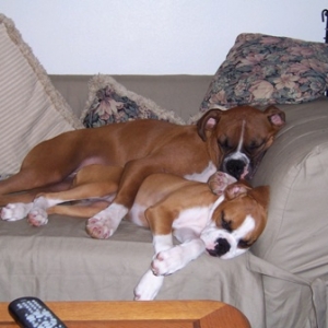 Shadeaux and Shelby napping