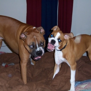 Shadeaux and Shelby playing