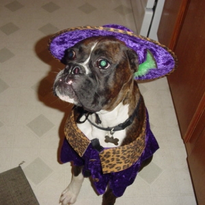 Pimps halloween costume