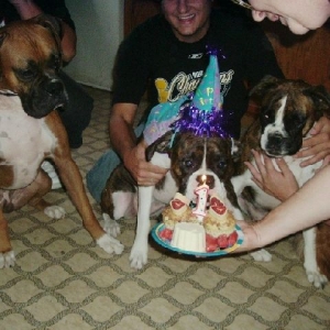 Dojas 1st Birthday