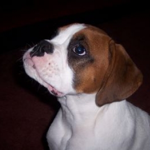 My Sweet Boy